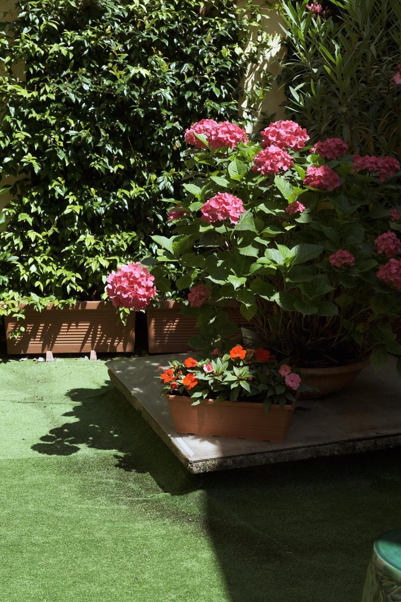 Comecasa Flowery Terraced Appartamento *